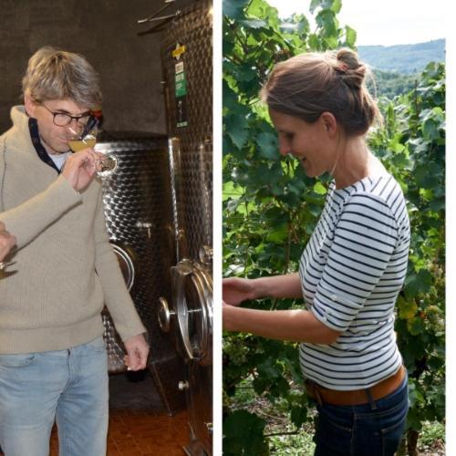 Weingut Erbes-Henn Hotel Ürzig Eksteriør billede